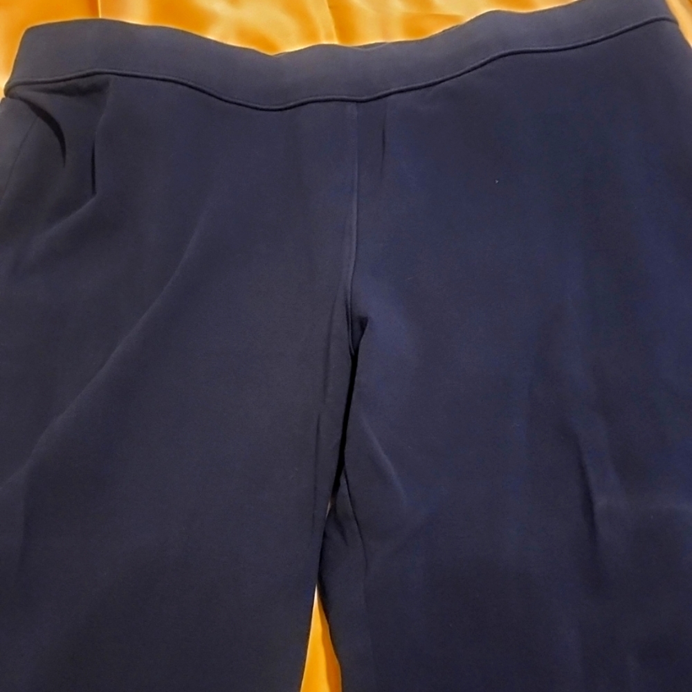 Talbots dark blue, straight leg leggings. Size 16P